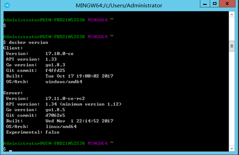 两种方式在Windows上安装和运行Docker容器技术-图片17