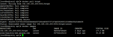 Docker仓库Registry维护和管理-图片3